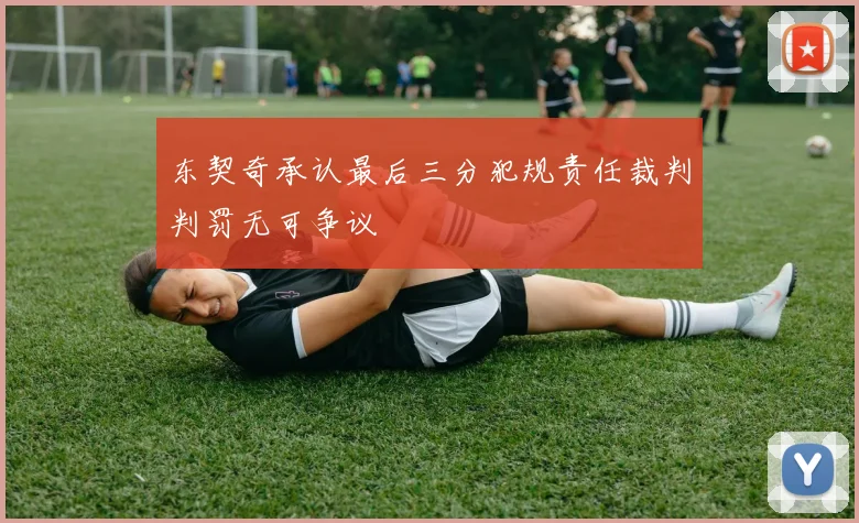 东契奇承认最后三分犯规责任裁判判罚无可争议