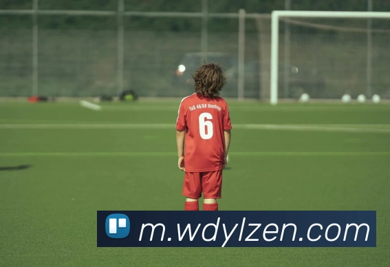 App Interface Preview